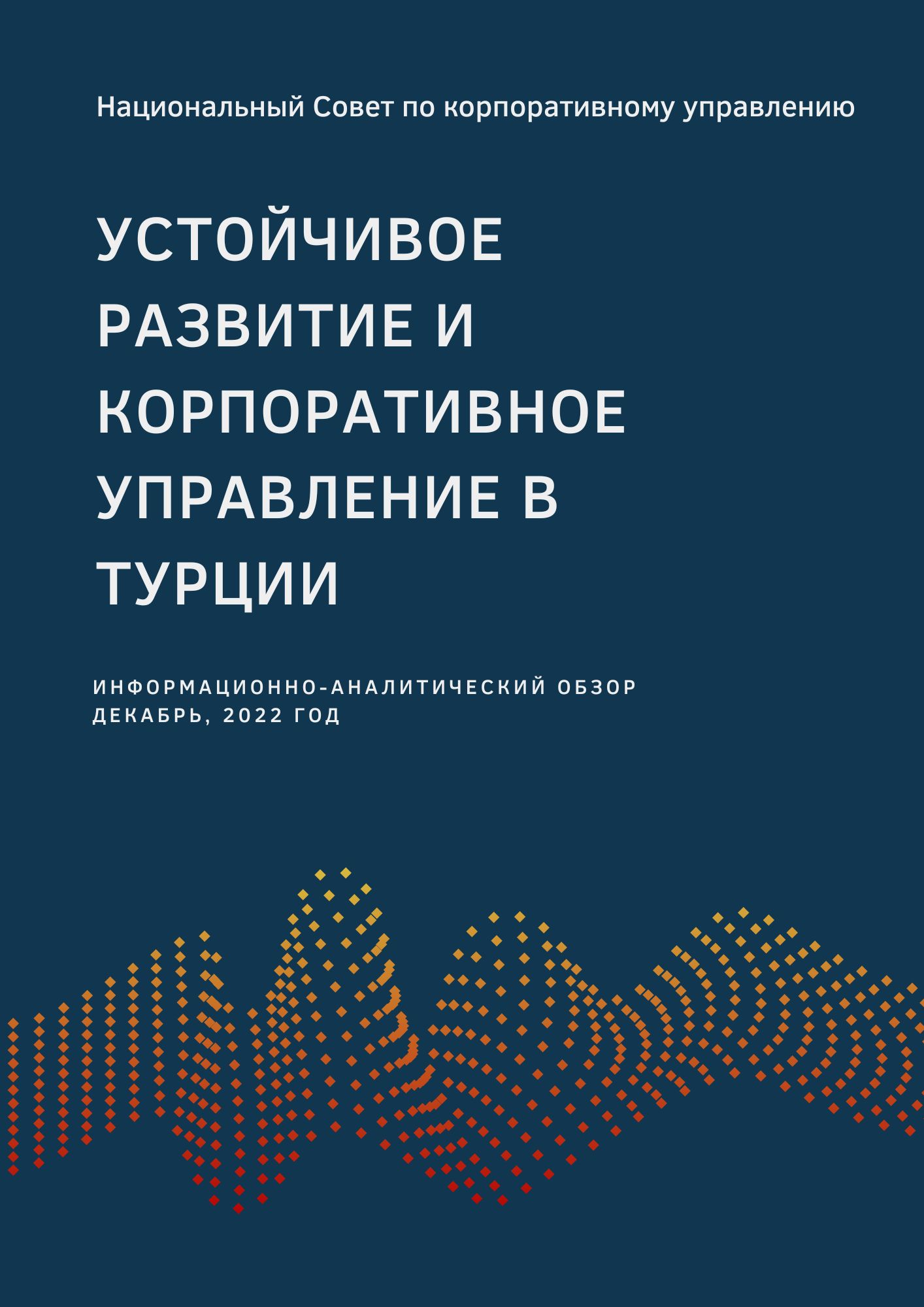 НСКУ подготовил информационно-аналитический обзор - Турции