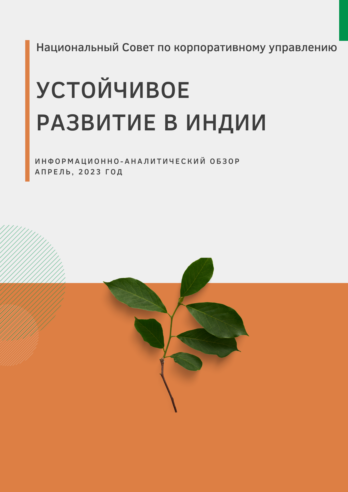 17.04.2023 Устойчивое развитие в Индии